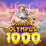OLYMPUS 1000
